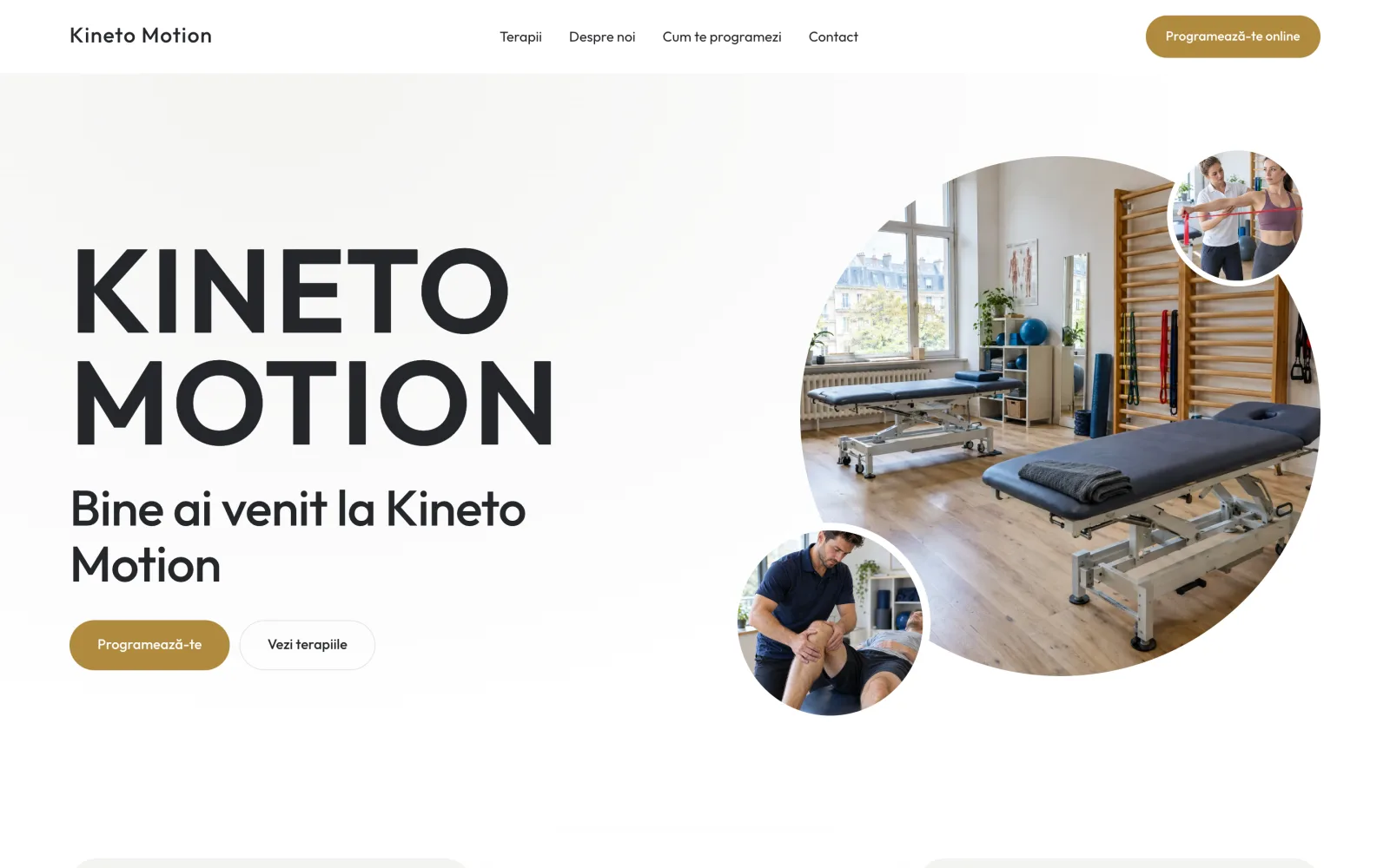 Exemplu de site făcut în Tonica pentru un centru de kinetoterapie, cu tema Zen.